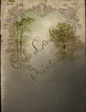 Load image into Gallery viewer, Backgrounds &amp; Book Prints- Ooh La La Printables