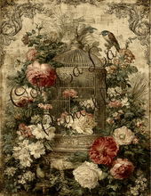 Load image into Gallery viewer, Birdcages- Ooh La La Printables