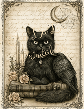 Load image into Gallery viewer, The Midnight Society- Ooh La La Printables