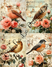 Load image into Gallery viewer, Birds with Pink Roses Bundle- Ooh La La Printables