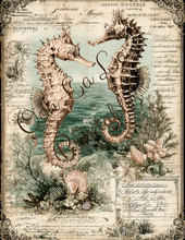 Load image into Gallery viewer, Sirenes &amp; Seahorses- Ooh La La Printables