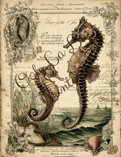 Load image into Gallery viewer, Sirenes &amp; Seahorses- Ooh La La Printables