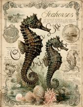 Load image into Gallery viewer, Sirenes &amp; Seahorses- Ooh La La Printables