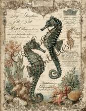 Load image into Gallery viewer, Sirenes &amp; Seahorses- Ooh La La Printables