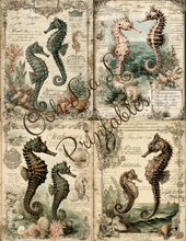Load image into Gallery viewer, Sirenes &amp; Seahorses- Ooh La La Printables