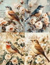 Load image into Gallery viewer, Birds W/ White Roses Bundle- Ooh La La Printables