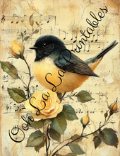 Load image into Gallery viewer, Baby Bird Bundle- Ooh La La Printables
