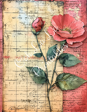 Load image into Gallery viewer, Travis&#39;s Vintage Botanicals Bundle- Ooh La La Printables