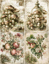 Load image into Gallery viewer, Jardin d'Automne- Ooh La La Printables