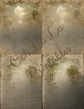 Load image into Gallery viewer, Backgrounds &amp; Book Prints- Ooh La La Printables