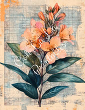 Load image into Gallery viewer, Travis&#39;s Vintage Botanicals Bundle- Ooh La La Printables