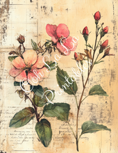 Load image into Gallery viewer, Travis&#39;s Vintage Botanicals Bundle- Ooh La La Printables