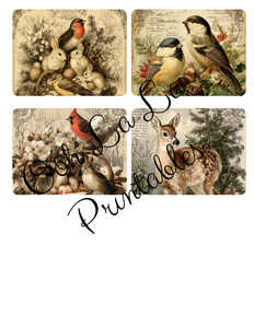 Woodland Whispers- Ooh La La Printables