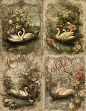 Load image into Gallery viewer, Flights of Fancy- Ooh La La Printables