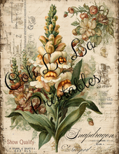 Load image into Gallery viewer, Garden's Delight- Ooh La La Printables