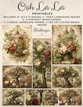 Load image into Gallery viewer, Birdcages- Ooh La La Printables