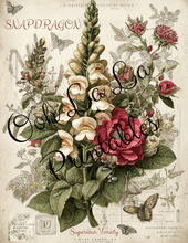 Load image into Gallery viewer, Garden's Delight- Ooh La La Printables