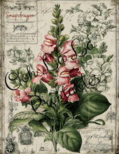 Load image into Gallery viewer, Garden's Delight- Ooh La La Printables