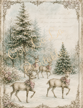 Load image into Gallery viewer, Noel des Roses- Ooh La La Printables