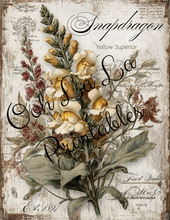 Load image into Gallery viewer, Garden's Delight- Ooh La La Printables