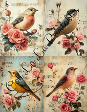 Load image into Gallery viewer, Birds with Pink Roses Bundle- Ooh La La Printables