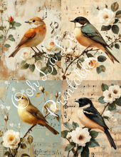 Load image into Gallery viewer, Birds W/ White Roses Bundle- Ooh La La Printables