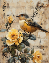 Load image into Gallery viewer, Baby Bird Bundle- Ooh La La Printables