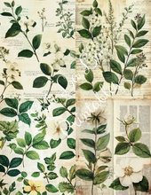 Load image into Gallery viewer, Travis&#39;s Vintage Botanicals Bundle- Ooh La La Printables