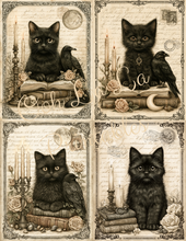 Load image into Gallery viewer, The Midnight Society- Ooh La La Printables