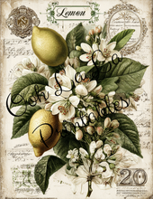 Load image into Gallery viewer, Garden's Delight- Ooh La La Printables