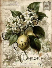 Load image into Gallery viewer, Garden's Delight- Ooh La La Printables