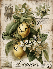 Load image into Gallery viewer, Garden's Delight- Ooh La La Printables