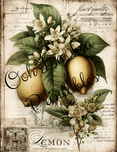 Load image into Gallery viewer, Garden's Delight- Ooh La La Printables