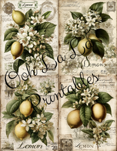 Load image into Gallery viewer, Garden's Delight- Ooh La La Printables