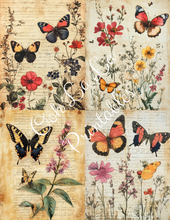 Load image into Gallery viewer, Travis&#39;s Vintage Botanicals Bundle- Ooh La La Printables