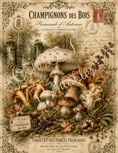 Load image into Gallery viewer, Jardin d'Automne- Ooh La La Printables