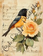 Load image into Gallery viewer, Baby Bird Bundle- Ooh La La Printables