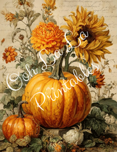 Load image into Gallery viewer, Orange Pumpkins &amp; Sunflowers- Ooh La La Printables
