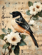 Load image into Gallery viewer, Birds W/ White Roses Bundle- Ooh La La Printables