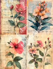 Load image into Gallery viewer, Travis&#39;s Vintage Botanicals Bundle- Ooh La La Printables
