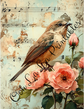 Load image into Gallery viewer, Birds with Pink Roses Bundle- Ooh La La Printables