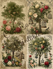 Load image into Gallery viewer, Birdcages- Ooh La La Printables