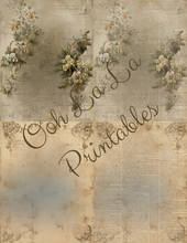 Load image into Gallery viewer, Backgrounds &amp; Book Prints- Ooh La La Printables