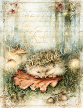 Load image into Gallery viewer, Whispers in the Woodlands- A Petite Collection- Ooh La La Printables
