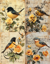 Load image into Gallery viewer, Baby Bird Bundle- Ooh La La Printables