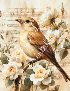 Birds W/ White Roses Bundle- Ooh La La Printables