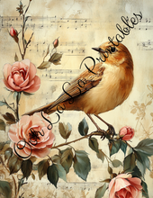 Load image into Gallery viewer, Birds with Pink Roses Bundle- Ooh La La Printables