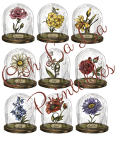 Load image into Gallery viewer, Ephemera Collection- Ooh La La Printables