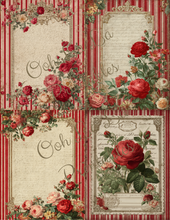 Load image into Gallery viewer, Red French Stripes- Ooh La La Printables