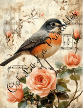 Load image into Gallery viewer, Birds with Pink Roses Bundle- Ooh La La Printables
